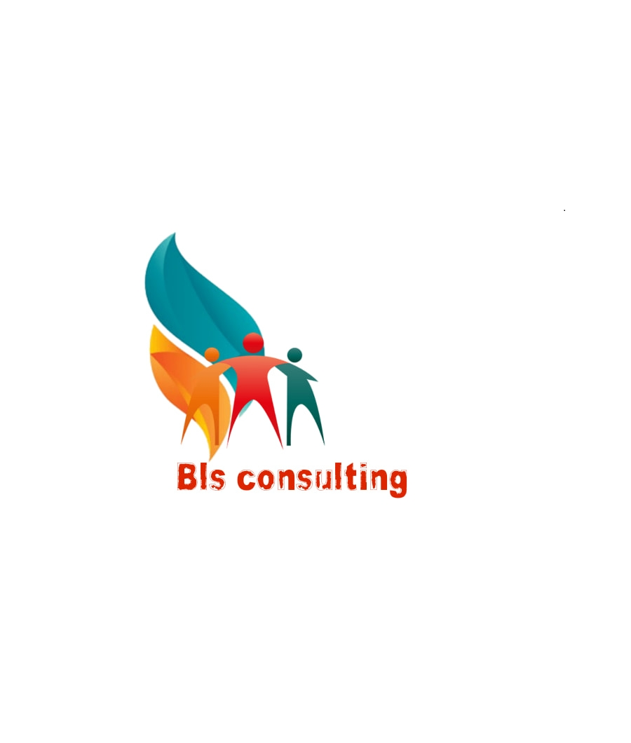 Logo BLS CONSULTING