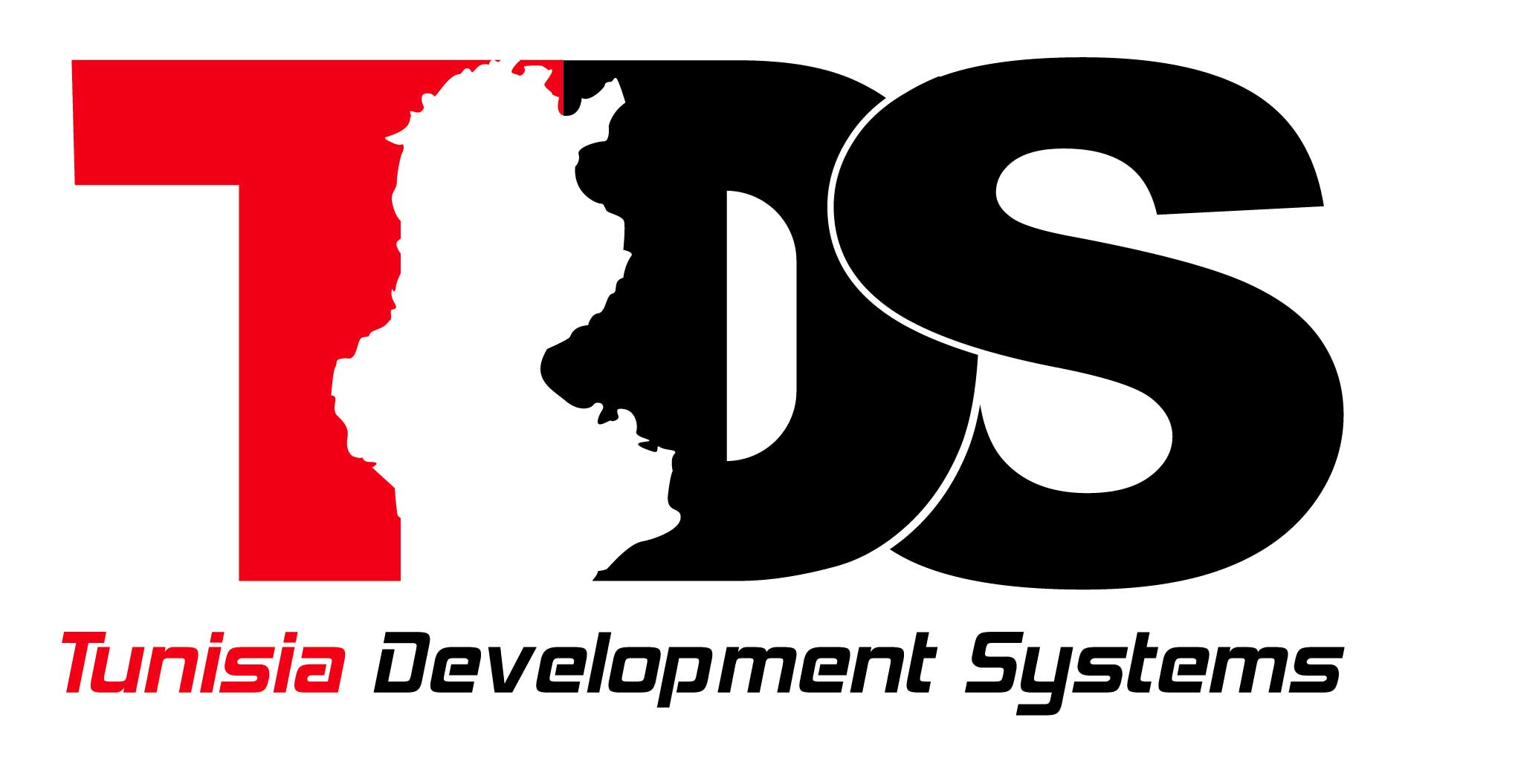 Logo TUNISIA DEVELOPMENT SYSTEMS